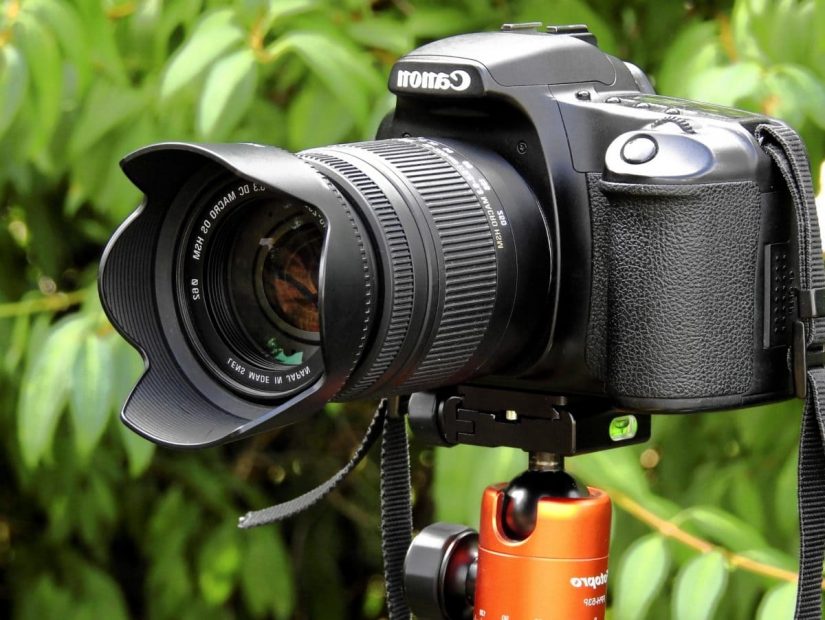 Fotografía y fotograma